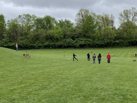 Matt Haverkamp Foundation Dog Park photo 2